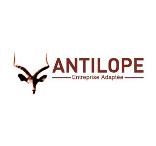 ANTILOPE